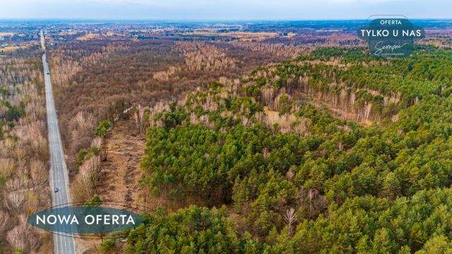 Działka leśna Załuże. Zdjęcie 2