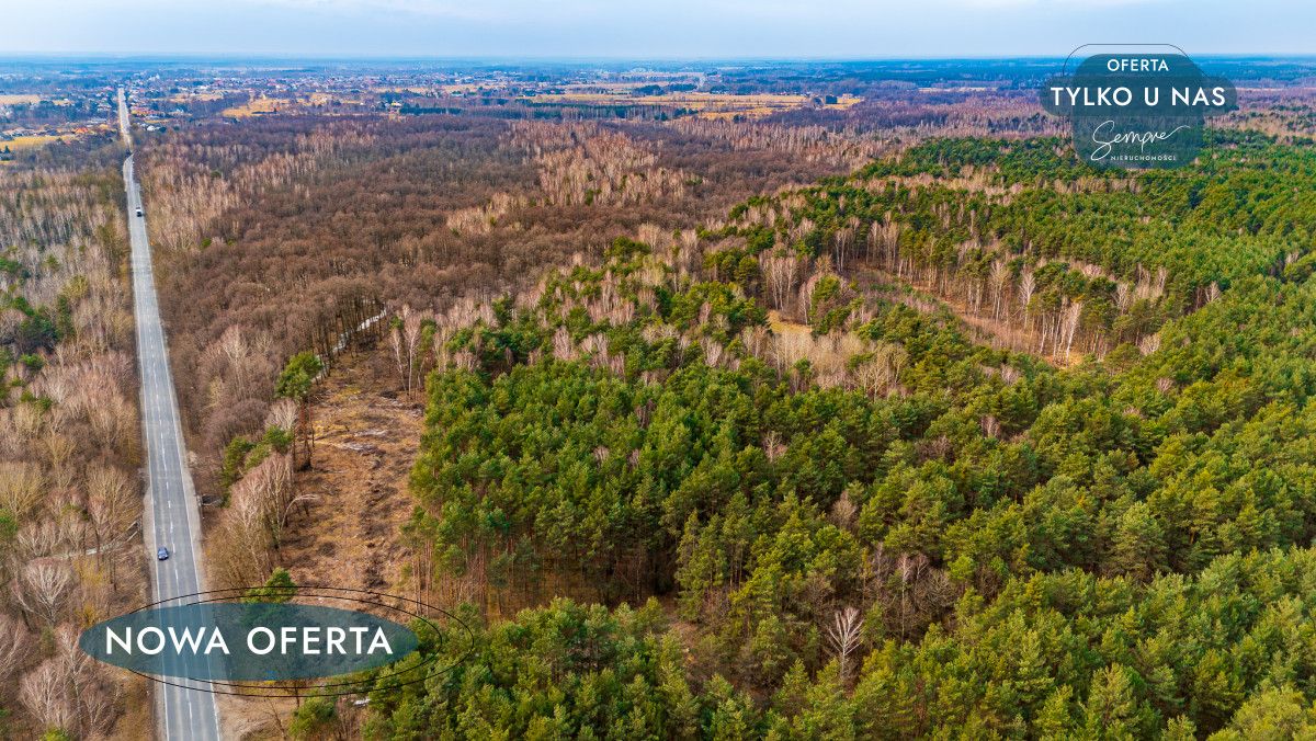 Działka leśna Załuże. Zdjęcie 2