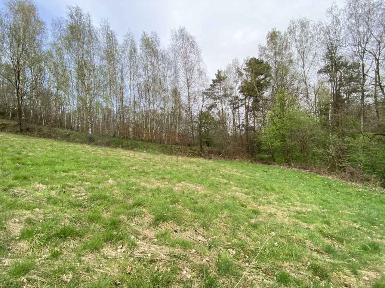 Działka rolna Lipnica Górna Wymyślna. Zdjęcie 4