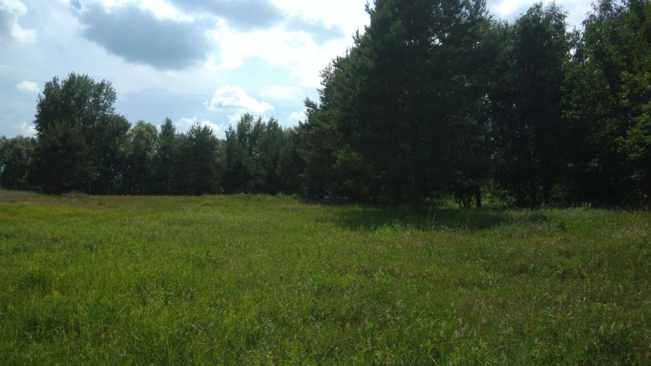 Działka rolno-budowlana Korzeń Królewski. Zdjęcie 6