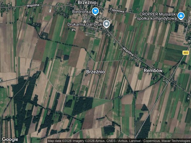dom wolnostojący, 4 pokoje Brzeźnio Wilczyniec, ul. Leśna. Zdjęcie 1