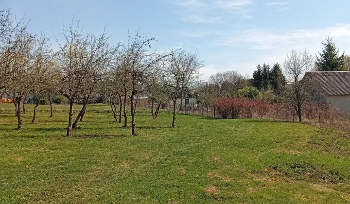 Działka rolno-budowlana Biejków