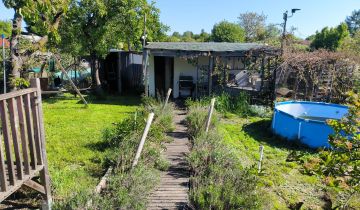 Działka rod Szczecin Niebuszewo, ul. Policka