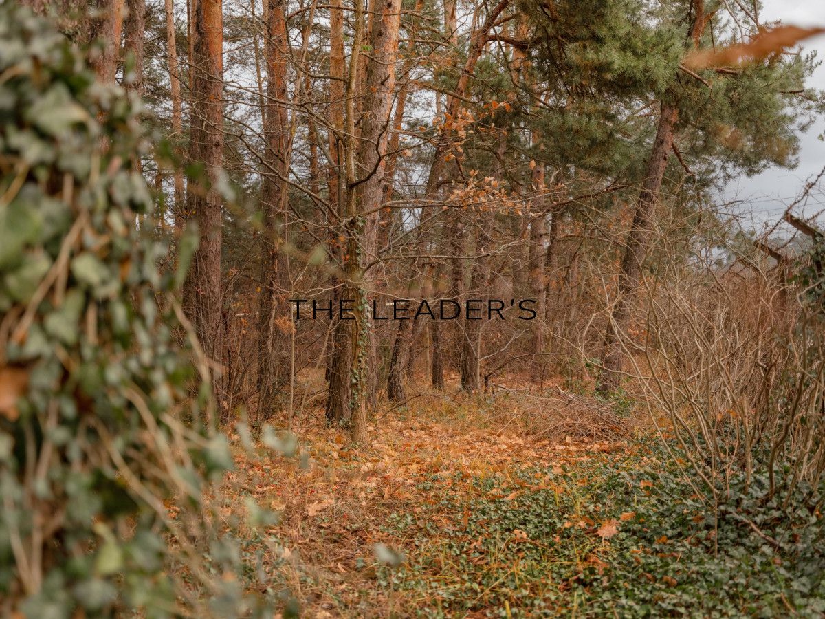 Działka inwestycyjna Konstancin-Jeziorna. Zdjęcie 12