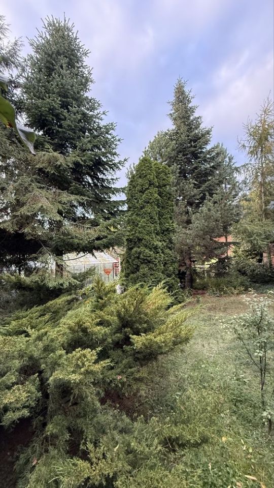 Działka rod Gniezno. Zdjęcie 2
