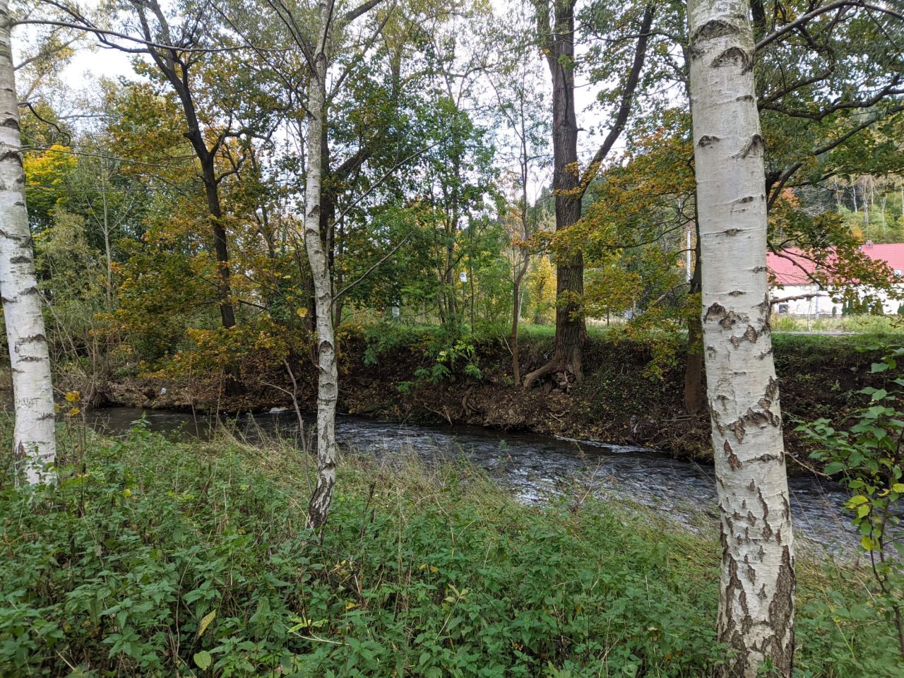 dom wolnostojący, 4 pokoje Błażkowa. Zdjęcie 4