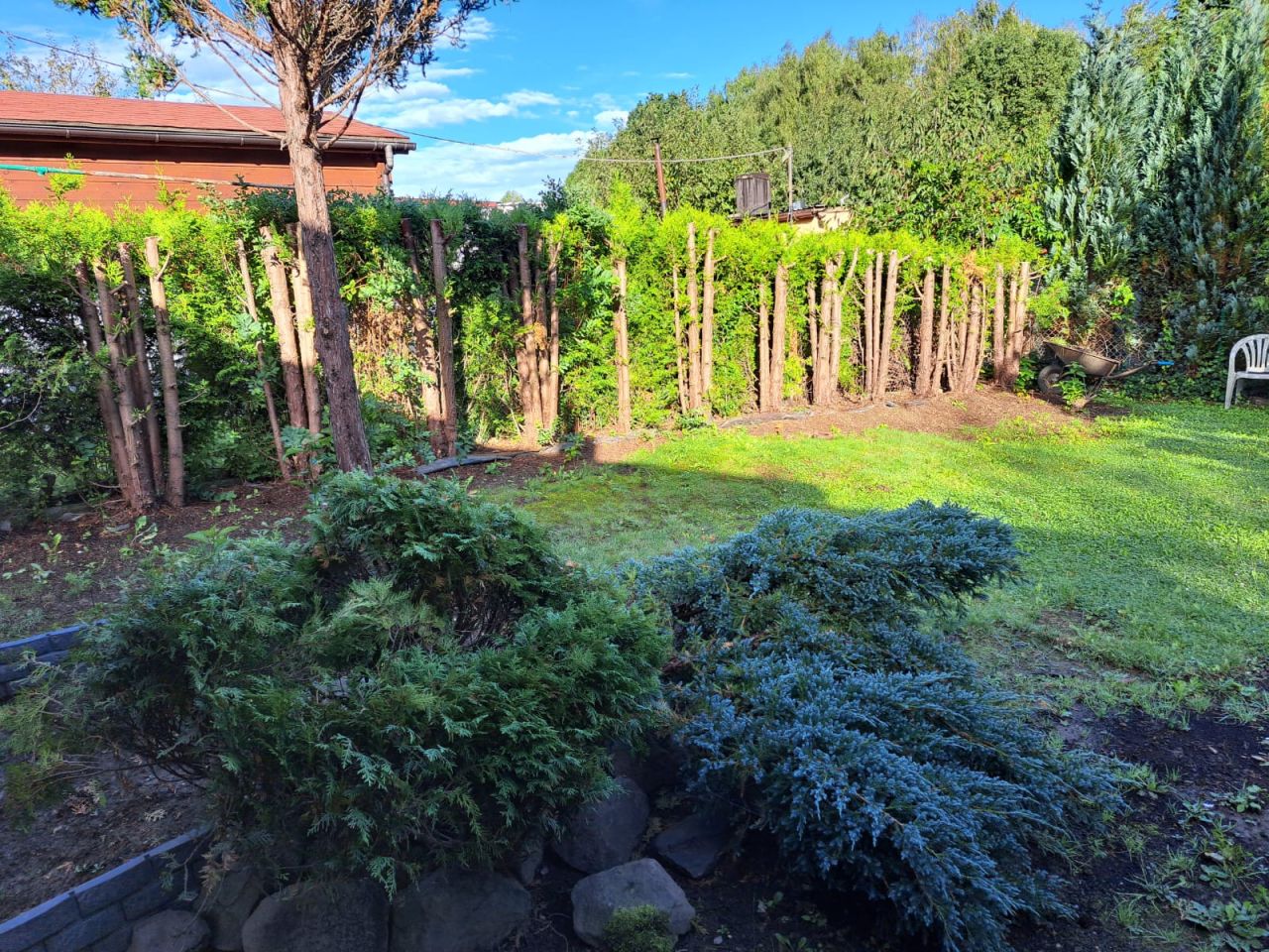 Działka rekreacyjna Jastrzębie-Zdrój Zofiówka, ul. Wojciecha Korfantego. Zdjęcie 3