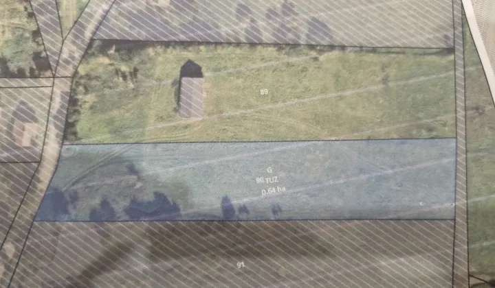 Działka siedliskowa Koszajny