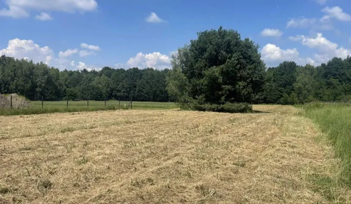 Działka budowlana Orzesze Zawada, ul. Graniczna
