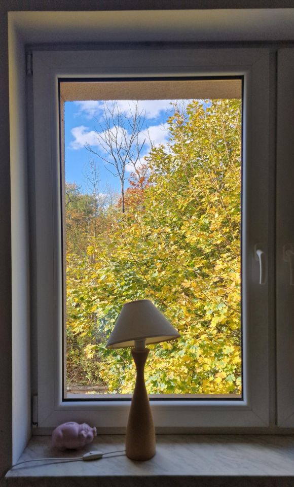 Mieszkanie 3-pokojowe Wałbrzych Stary Zdrój, ul. Stefana Batorego. Zdjęcie 5