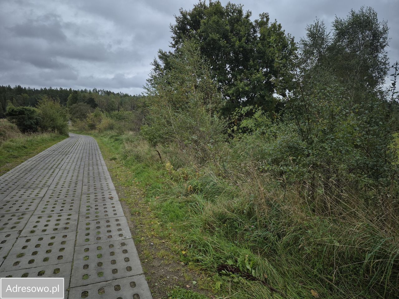 Działka siedliskowa Bukowina, ul. Jeziorna. Zdjęcie 6