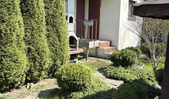 Działka rod Jastrzębie-Zdrój