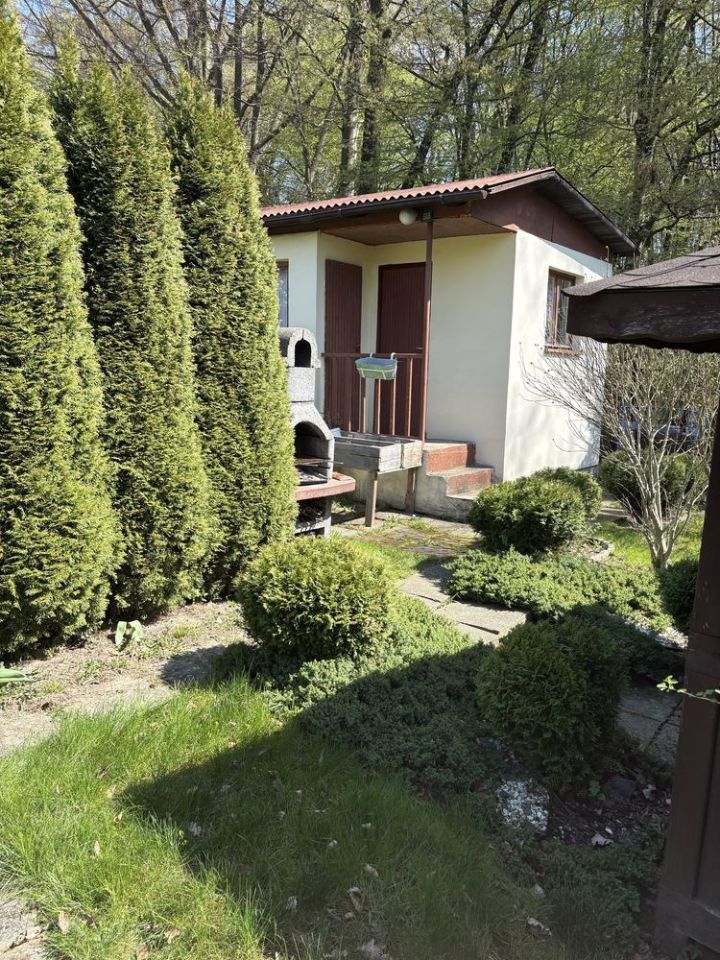 Działka rod Jastrzębie-Zdrój. Zdjęcie 1