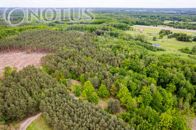 Działka budowlana Radziejowice, ul. Do Lasu. Zdjęcie 13