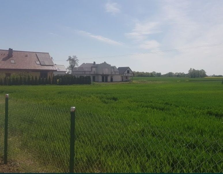 Działka rolno-budowlana Stegna. Zdjęcie 5