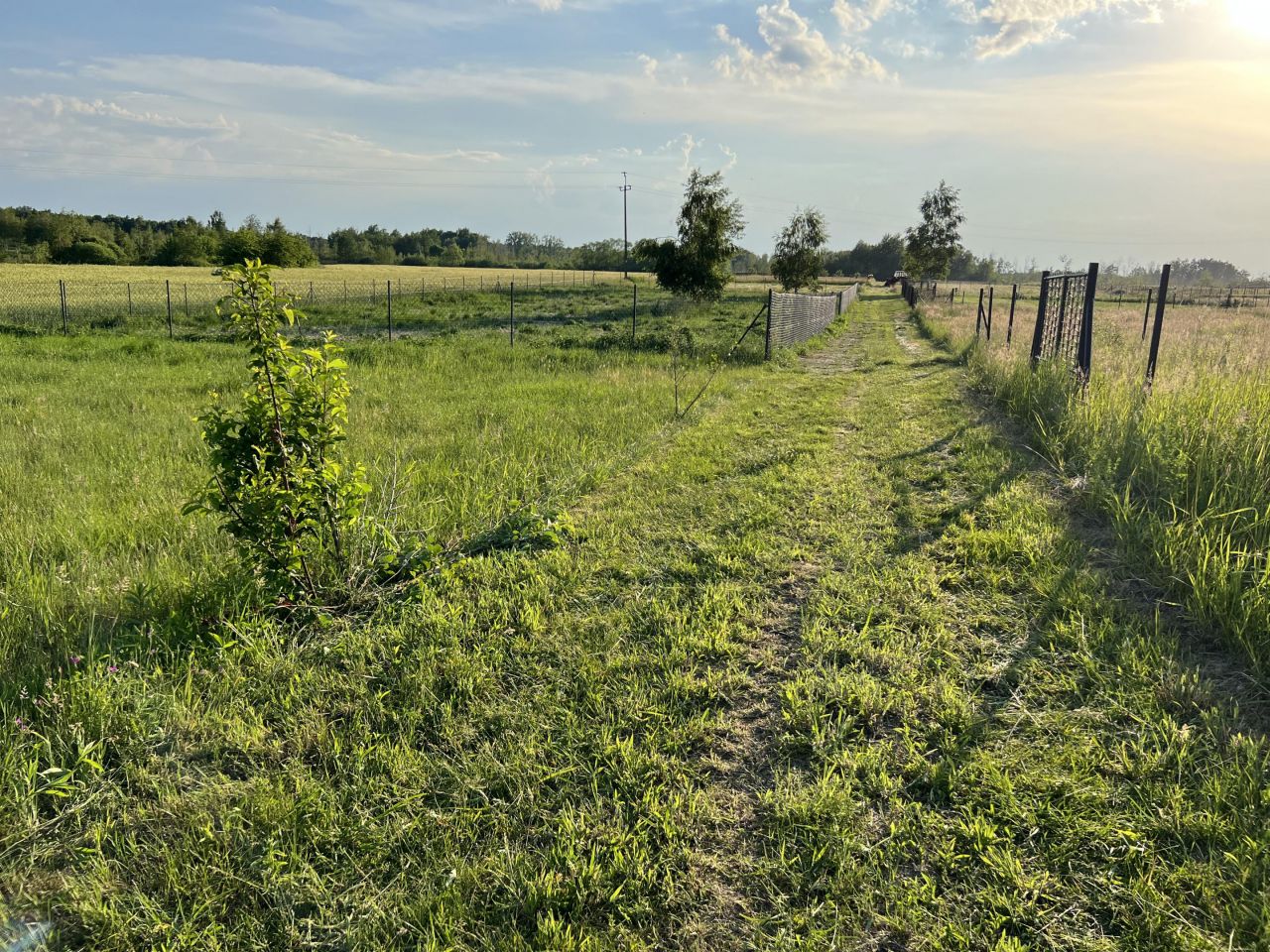 Działka rekreacyjna Krasne Ryczka. Zdjęcie 8
