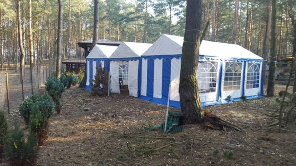 Działka leśna Wistka Szlachecka. Zdjęcie 3