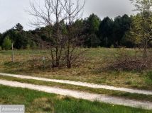 Działka rolno-budowlana Zabrodzie. Zdjęcie 3