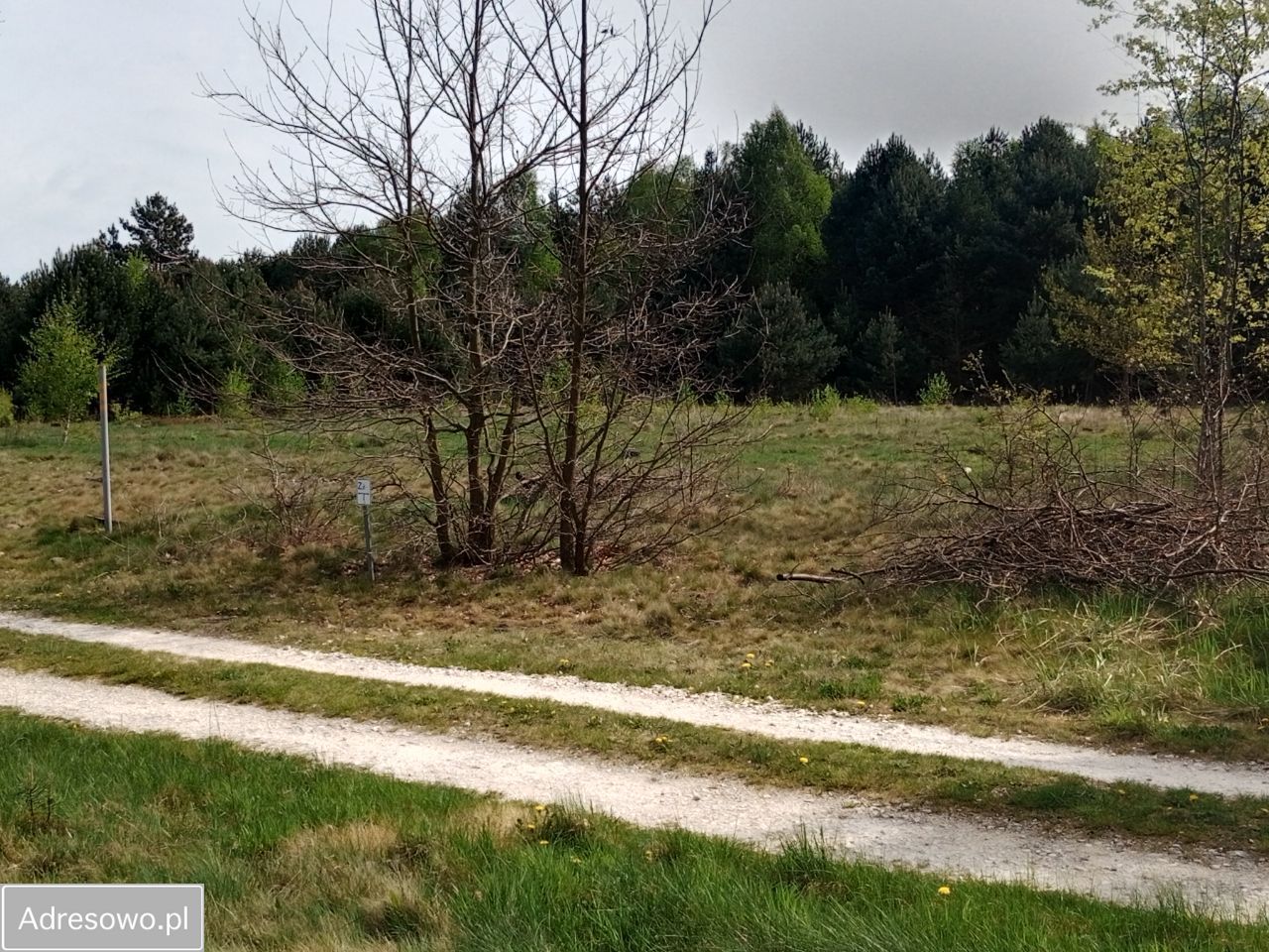 Działka rolno-budowlana Zabrodzie. Zdjęcie 4