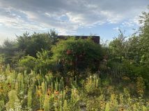 Działka rod Wrocław Muchobór Mały, ul. Francuska. Zdjęcie 3