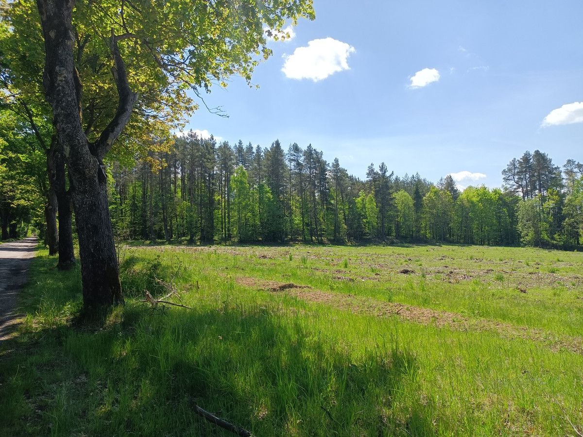 Działka budowlana Darżkowo. Zdjęcie 2