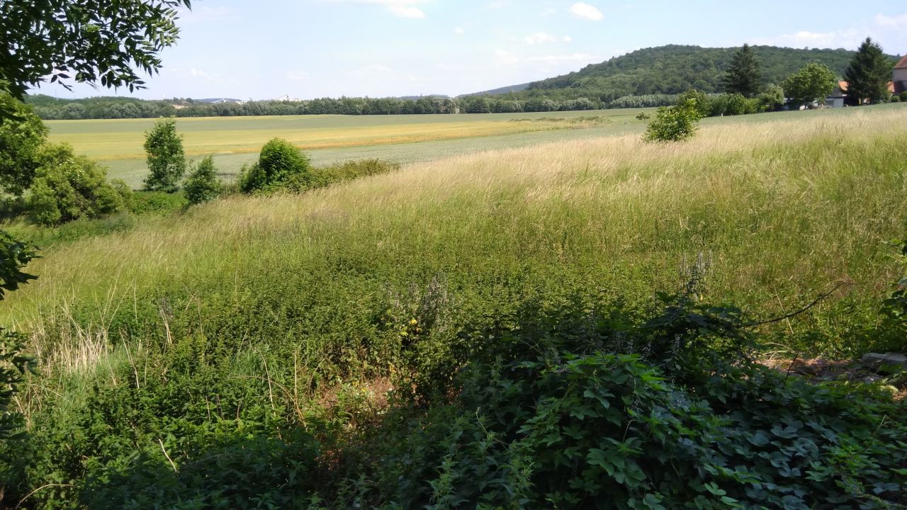 dom wolnostojący, 4 pokoje Zimnik, Zimnik. Zdjęcie 4