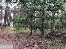 Działka budowlana Biała Panieńska. Zdjęcie 1