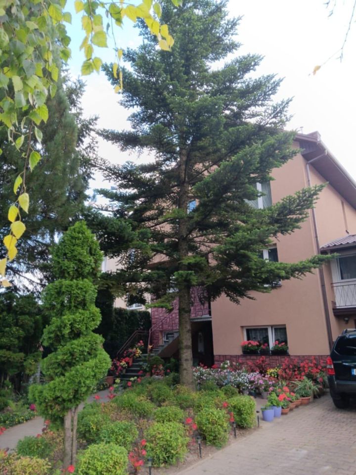 dom szeregowy, 8 pokoi Zamość, ul. Słowicza. Zdjęcie 6