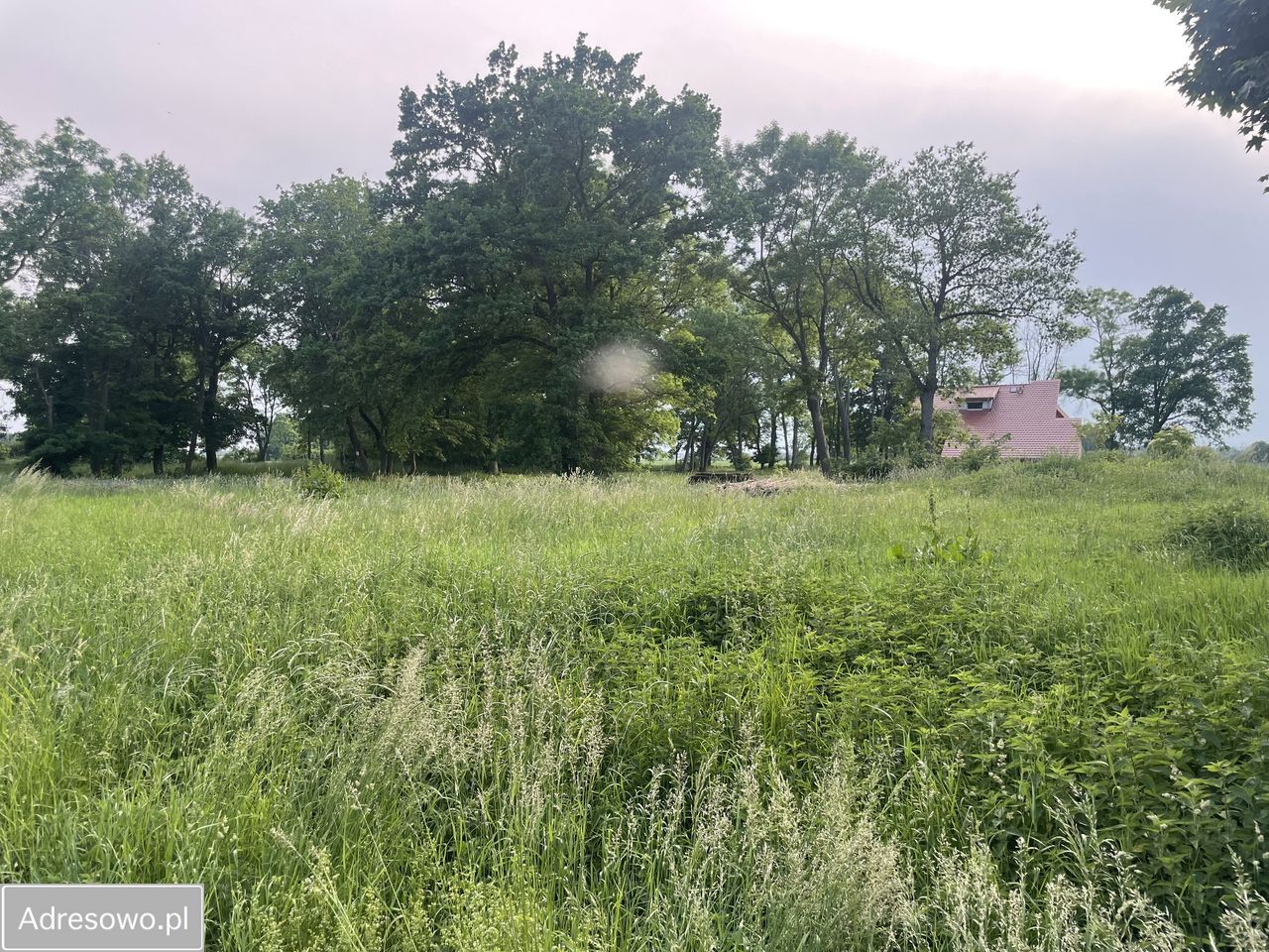 Działka budowlana Steblewo. Zdjęcie 6
