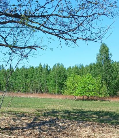 Działka budowlana Koryta, ul. Północna. Zdjęcie 4