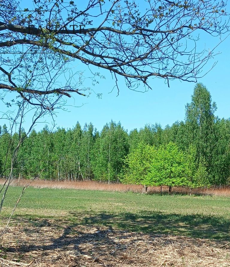 Działka budowlana Koryta, ul. Północna. Zdjęcie 4