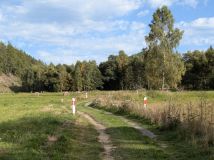 Działka rolna Błażkowa, Błażkowa. Zdjęcie 3