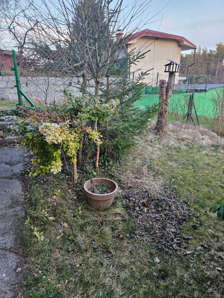 Działka rod Warzenko. Zdjęcie 3