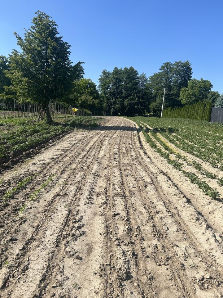 Działka rolna Giebułtów Podwikle, ul. Olszynowa. Zdjęcie 10
