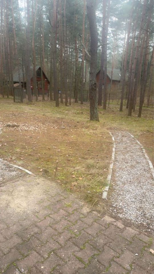 Działka leśna Poddębie, ul. Wesoła. Zdjęcie 4