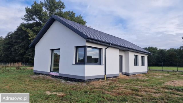 dom wolnostojący, 4 pokoje Zdziechów Nowy. Zdjęcie 1