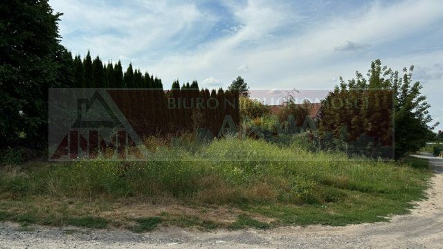 Działka budowlana Marysin. Zdjęcie 6