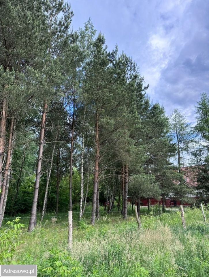 Działka budowlana Stara Wieś, ul. Głogowa. Zdjęcie 9