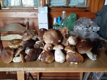 Działka rekreacyjna Ruda. Zdjęcie 3