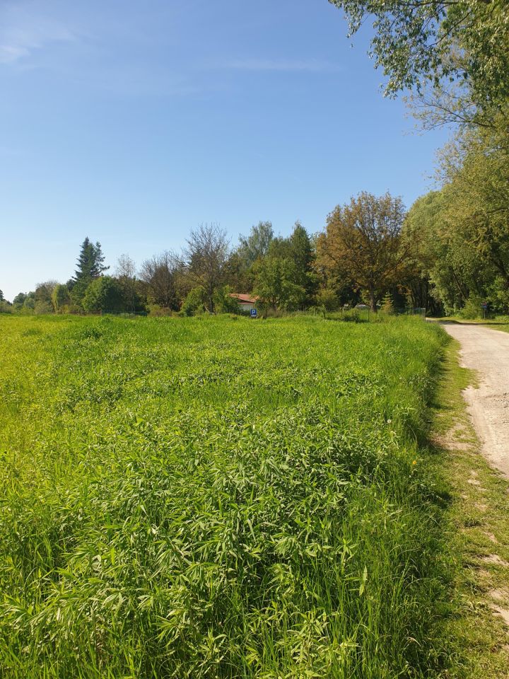 Działka rekreacyjna Zabierzów, ul. Nad Wodą. Zdjęcie 15