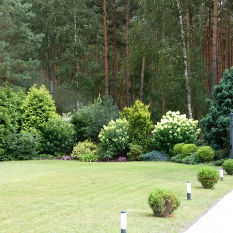 dworek, 4 pokoje Kowalewo, ul. Leśna. Zdjęcie 27