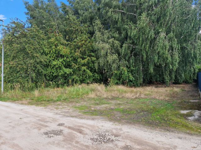 Działka budowlana Jasin, ul. Mieszka. Zdjęcie 1