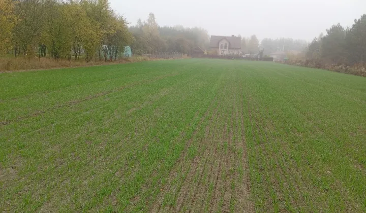 Działka budowlana Rokiciny-Kolonia, ul. Adama Mickiewicza