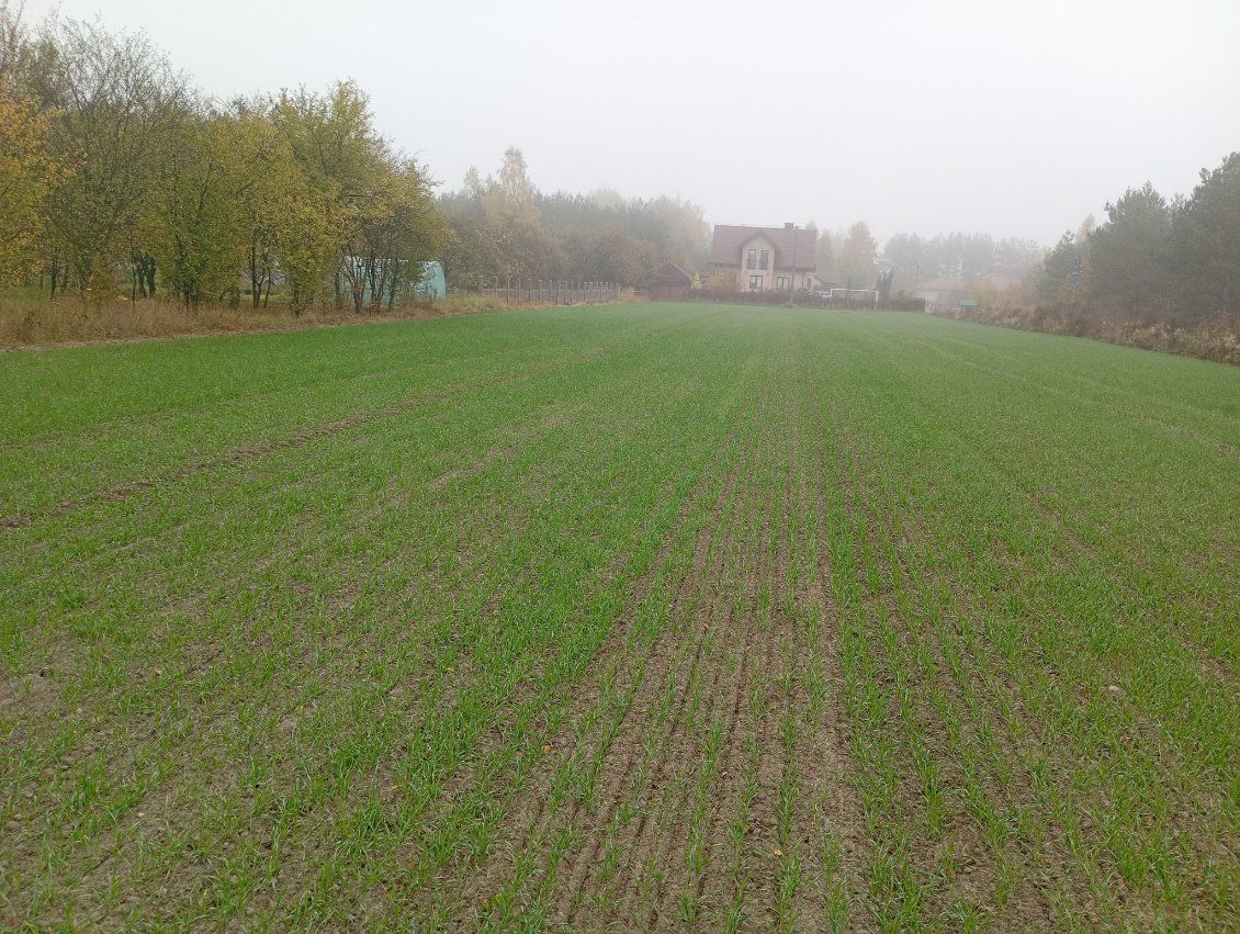 Działka budowlana Rokiciny-Kolonia, ul. Adama Mickiewicza. Zdjęcie 1