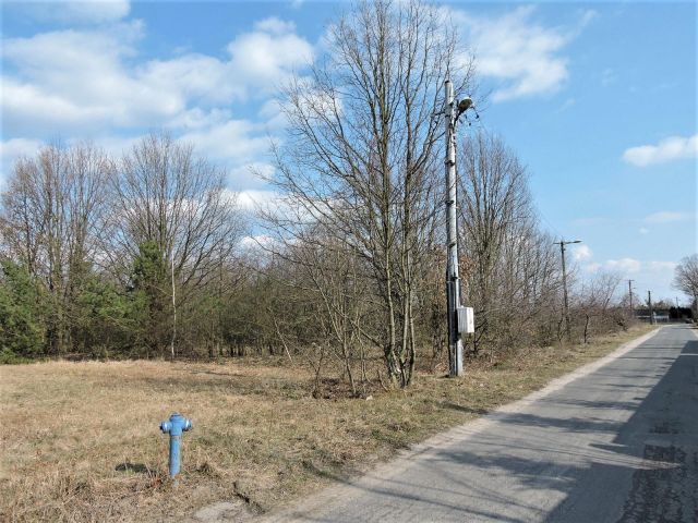 Działka rolno-budowlana Kępiaste. Zdjęcie 1