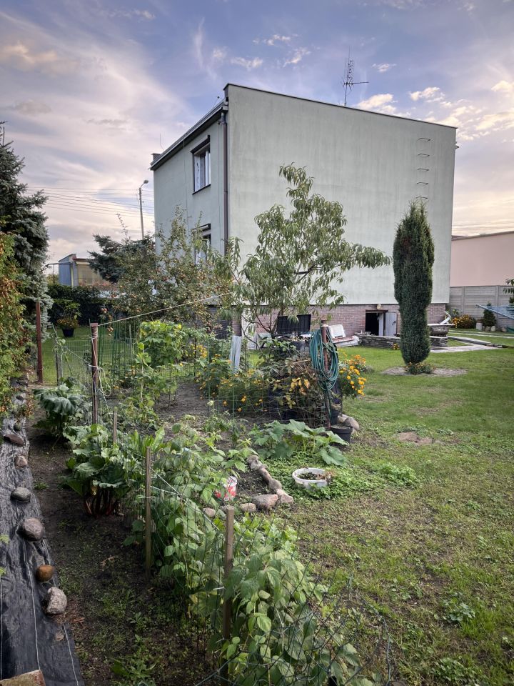 dom wolnostojący, 5 pokoi Nowa Sól Stare Żabno, ul. Targowa