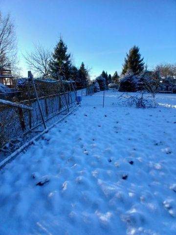 Działka rod Bogatka. Zdjęcie 1