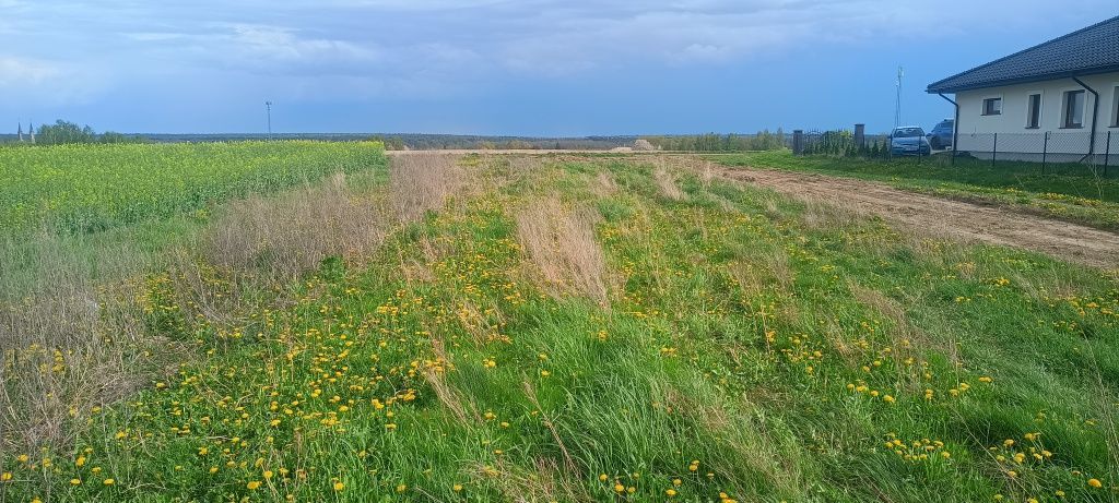 Działka budowlana Zemborzyce Podleśne. Zdjęcie 1