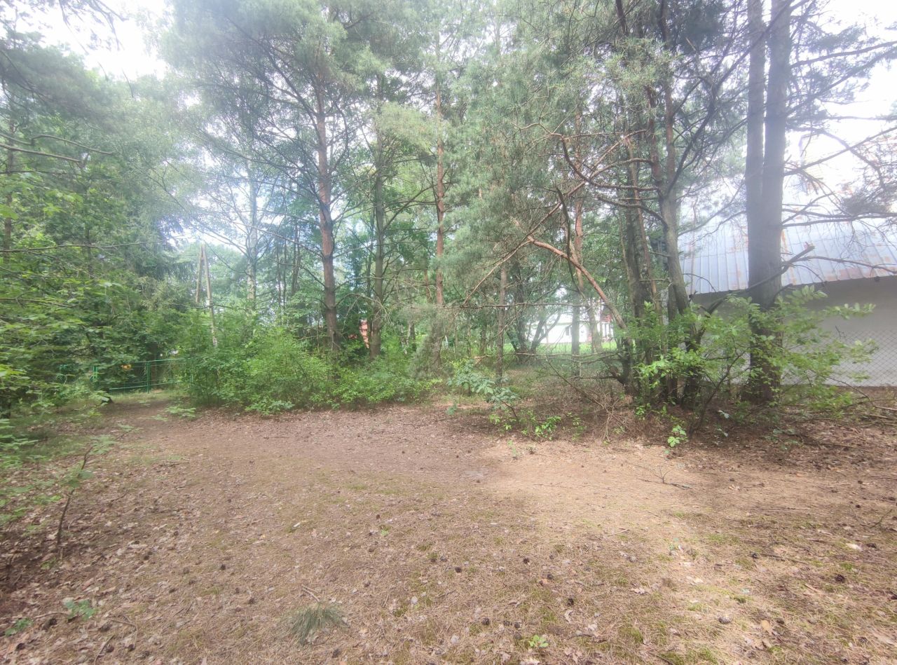 Działka siedliskowa Kuligów, ul. Okrężna. Zdjęcie 17