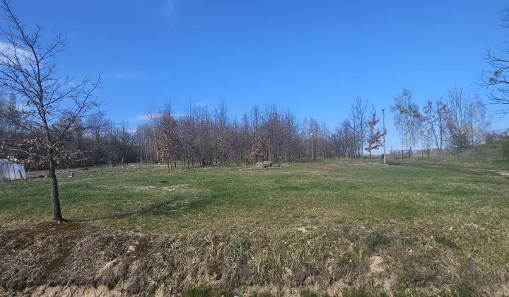 Działka rolno-budowlana Wola Goryńska